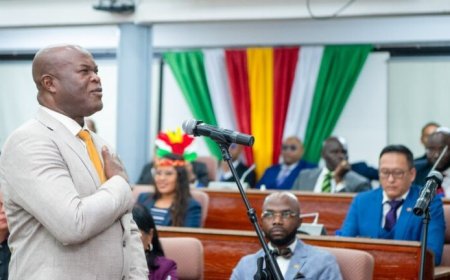 Ronnie Brunswijk bij acclamatie gekozen tot vicevoorzitter DNA