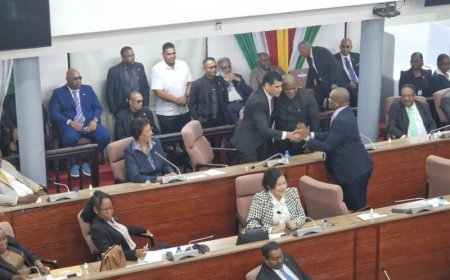 Nieuwe DNA-voorzitter Adhin: ‘Ik ga een voorzitter zijn die direct in contact is met de samen