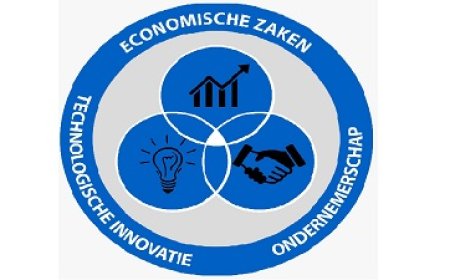 Ondernemingen Cohort 4 SURGE-programma volgen MEL-workshop