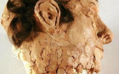 WIST U DAT: In juni 1962 drie gevangenen op ingenieuze wijze wisten te ontsnappen uit Alcatra