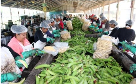 Werkloosheid in Nicaragua en Mexico daalt naar 2,7%