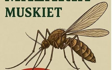 Suriname officieel malaria-vrij verklaard door WHO