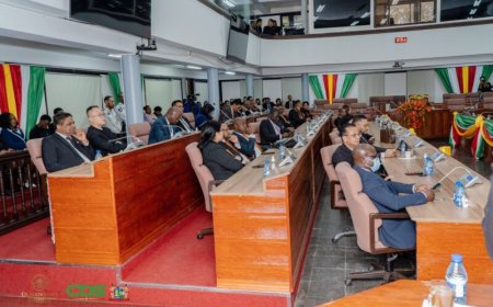 VHP dient protestbrief in over voorzittersverkiezing DNA