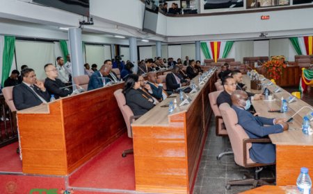 Parlementaire zittingsperiode 2025-2030 officieel gestart