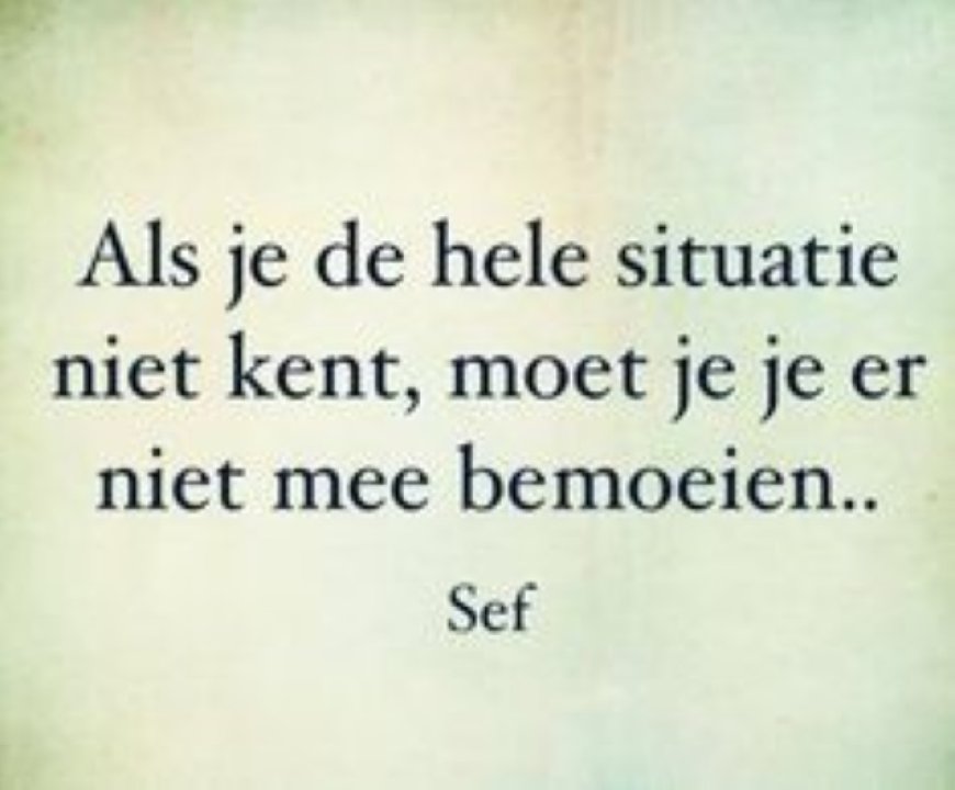 Diaspora moet zich niet bemoeien met Surinaamse politiek