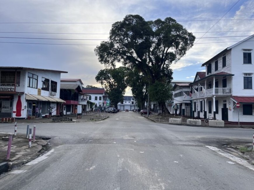 Snoeien mahoniebomen: Kruising Heeren-/Klipstenenstraat afgesloten