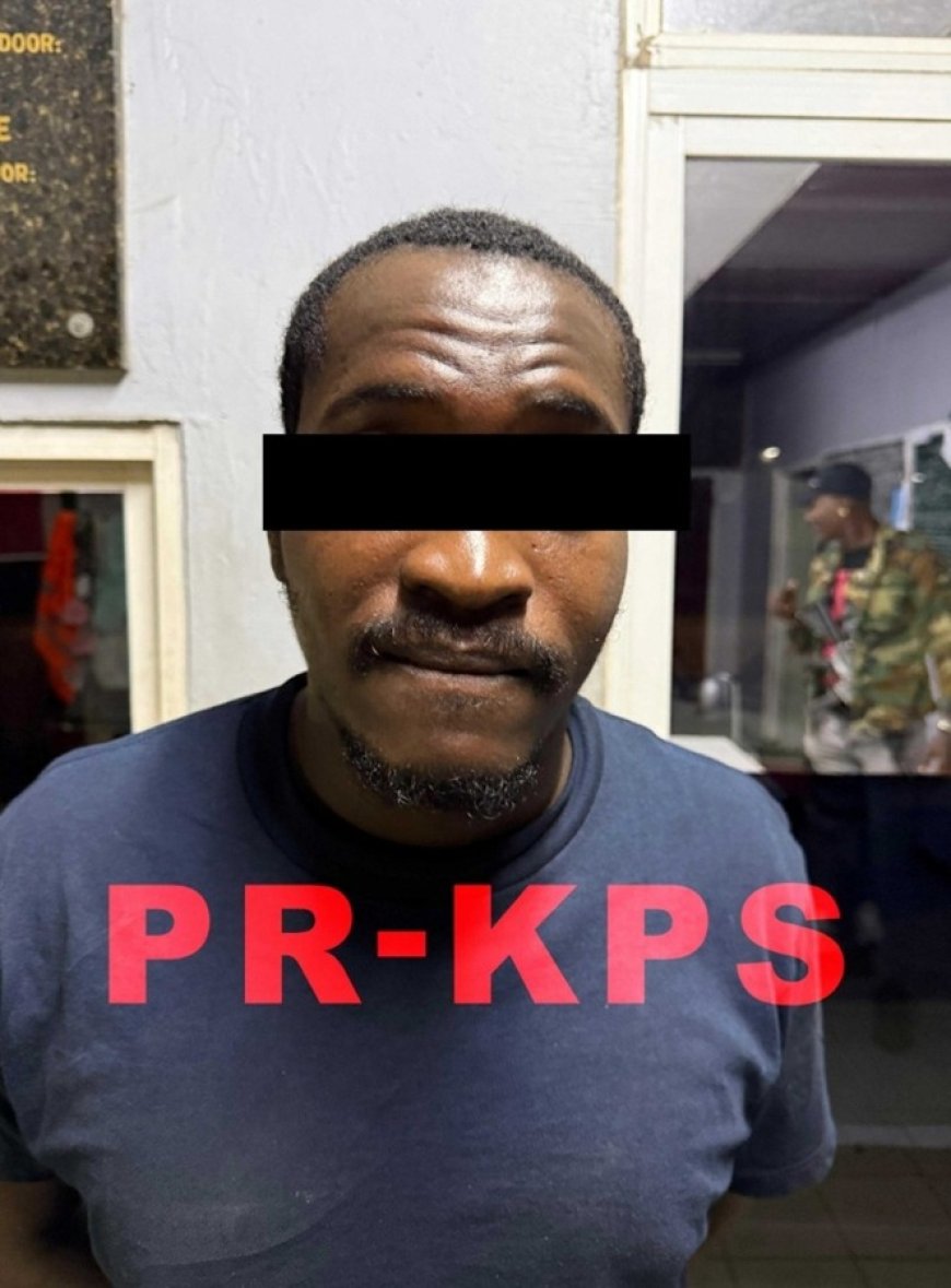 Dertigjarige inbreker ingesloten