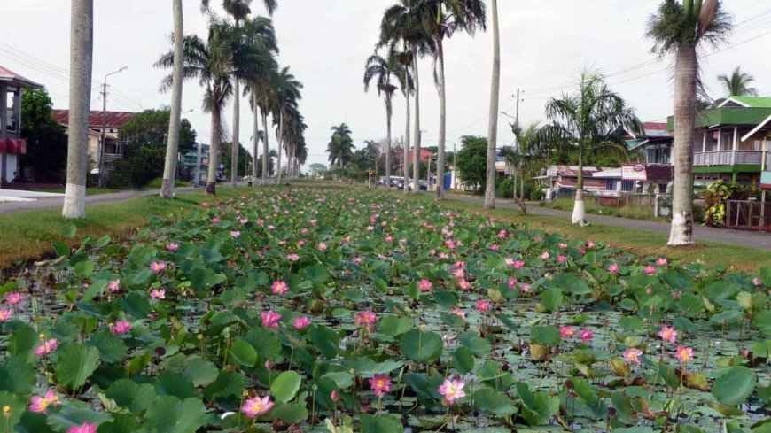 Van natuurlijke charme naar stenen schip
