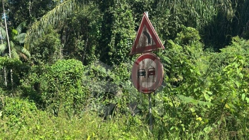 Afobakaweg levensgevaarlijk bij regenval: “Autoriteiten doen niets”