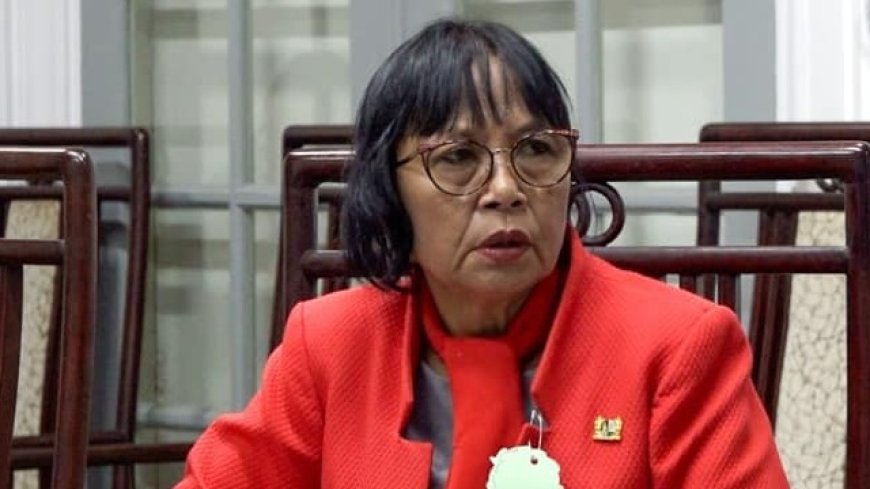 Ann Sadi wil dat nieuw parlement uitgelekte missives als eerste bespreekt