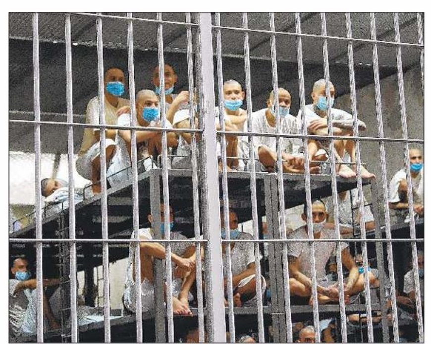 Steeds minder mensen worden als volledig menselijk behandeld