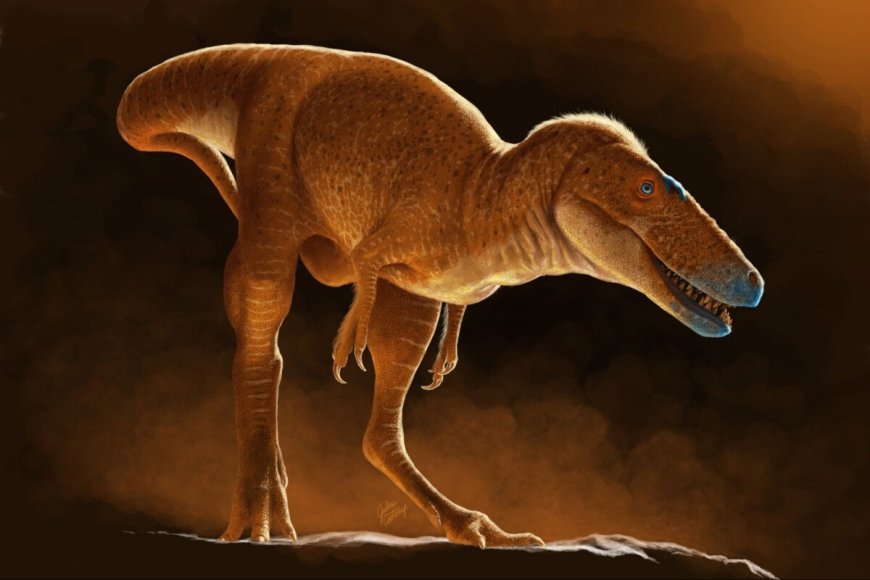 Opmerkelijk – Nieuw ontdekte ‘drakenprins’ in Mongolië is voorouder van Tyrannosaurus rex