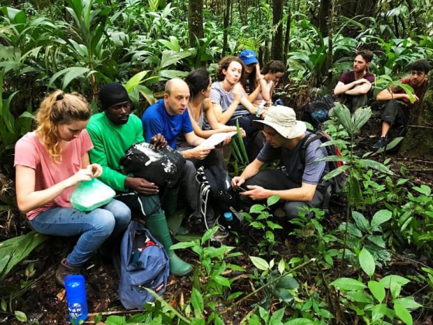 Shata werkt samen met internationale influencers om toerisme boost te geven