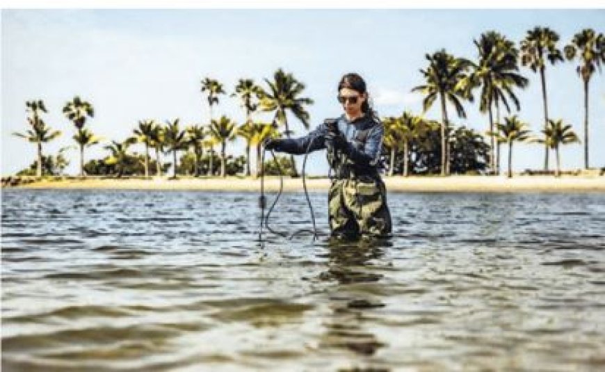Op een Eiland Vol Miljardairs Moet het Vuile Rijkdom van de Rijken Ergens Naartoe