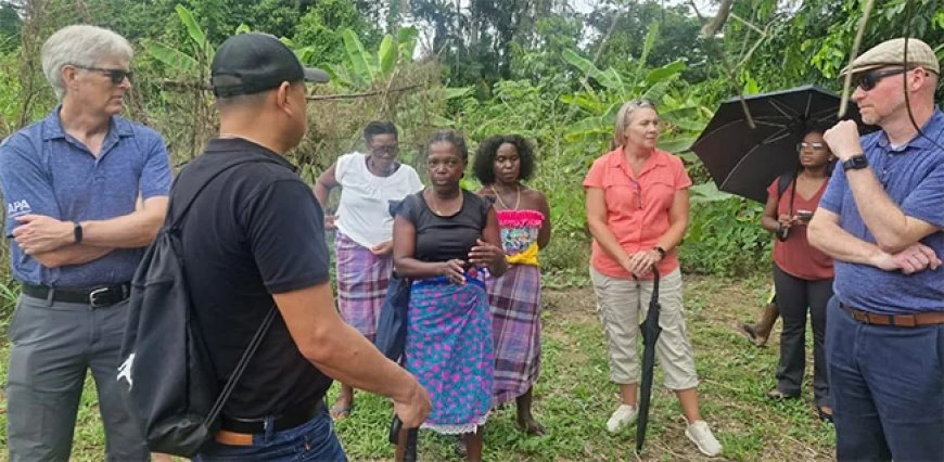 CELOS en APA bouwen verder aan agroforestry