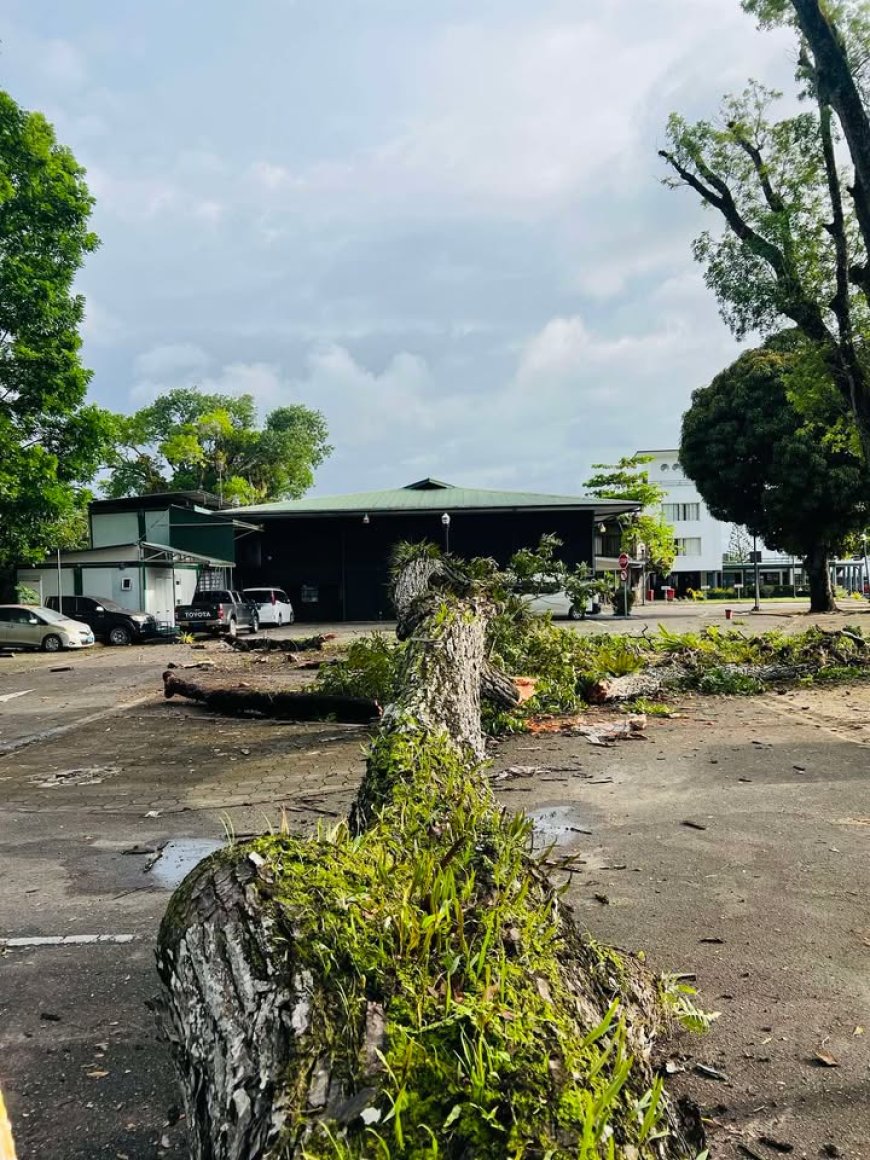 Boom bij Nationale Assemblee valt op deel van schutting