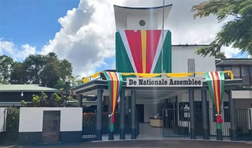 Nieuwe DNA komt nu zondag 29 juni bijeen; termijn loopt af