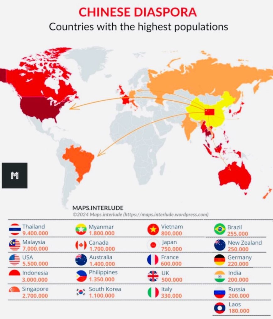 De Chinese diaspora: een wereldwijd netwerk dat zich voor het oog verbergt ????