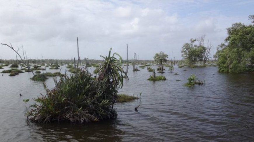 Minister Nurmohamed: “Werkzaamheden aan Weg naar Zee en Brantimakkasluis in volle gang”