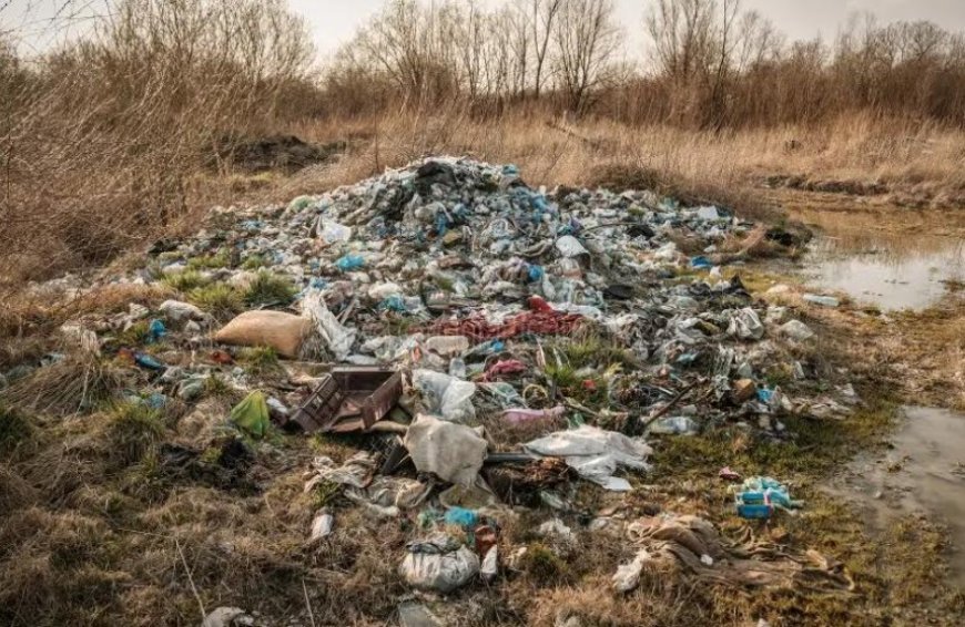 Geen vervuiling zonder toestemming: Overheid, burgers en bedrijven – iedereen heeft en rol