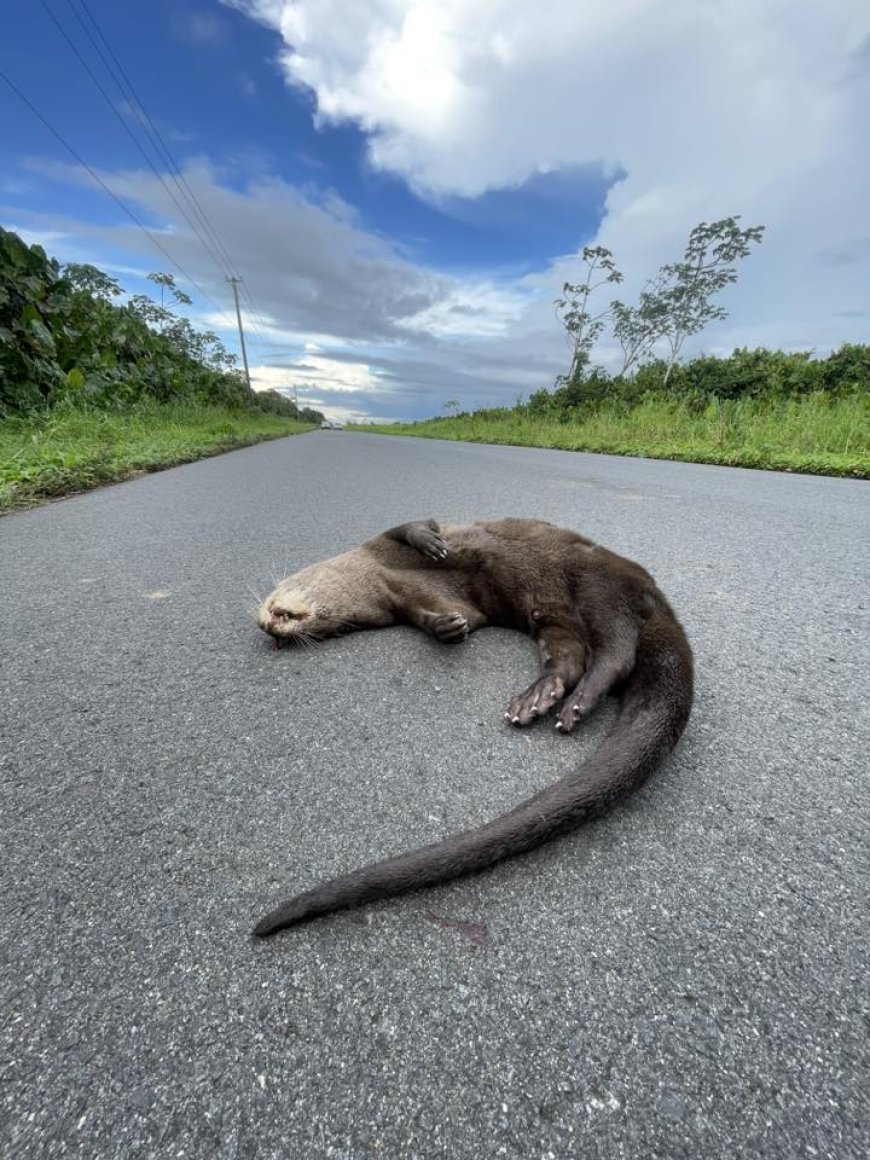 De realiteit blijft hard…