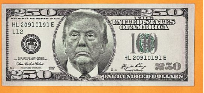 Republikeinen hebben een reeks wetten voorgesteld om Trump te eren