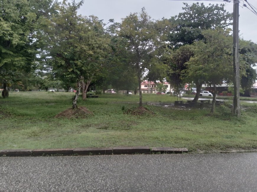 Onderhoud Vriendschapspark in Paramaribo blijft problematisch door gebrek aan middelen