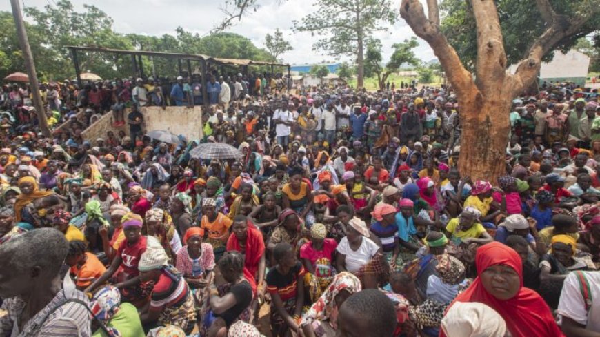 Militanten ontvoeren 120 kinderen in Mozambique