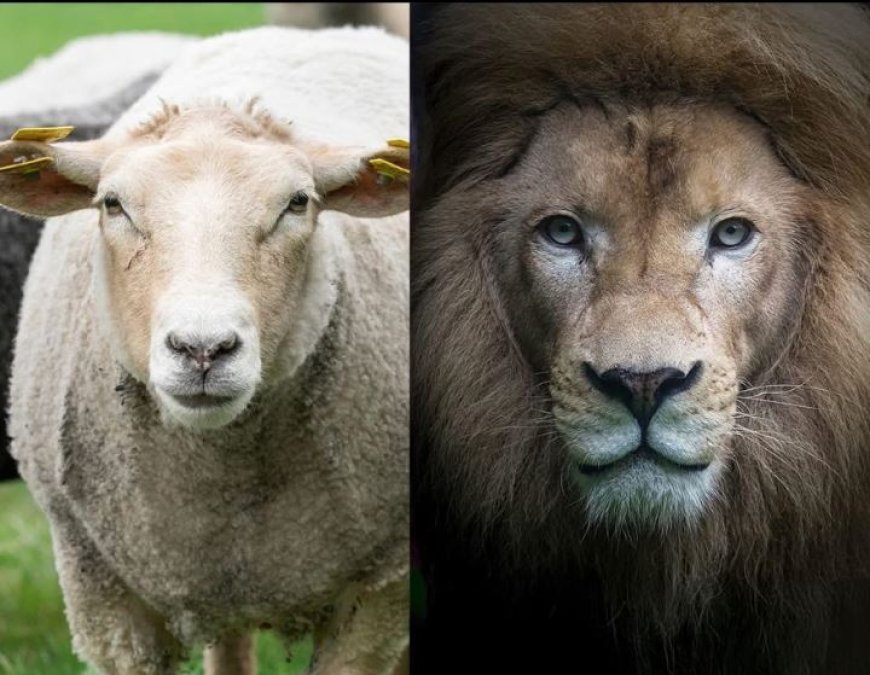 Surinaamse politiek: volgzaamheid vs. principes?