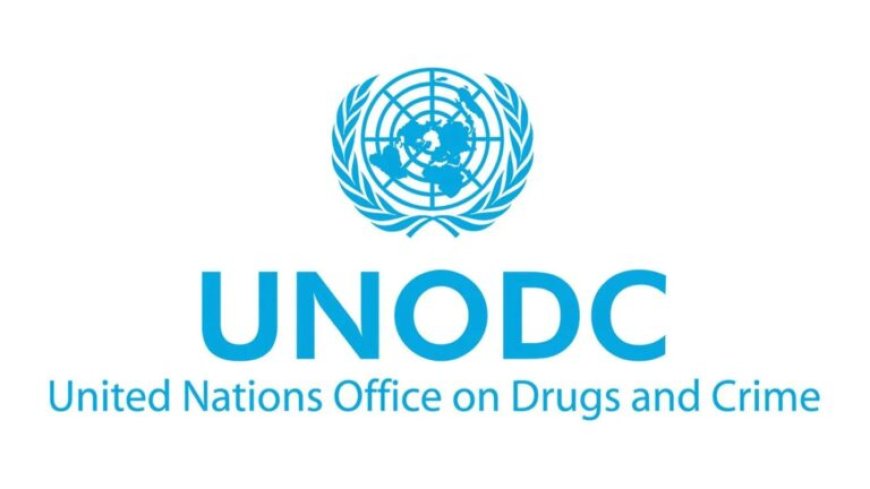 “Verbreek de cyclus”: UNODC roept op tot wereldwijde aanpak drugsproblematiek en georganiseer