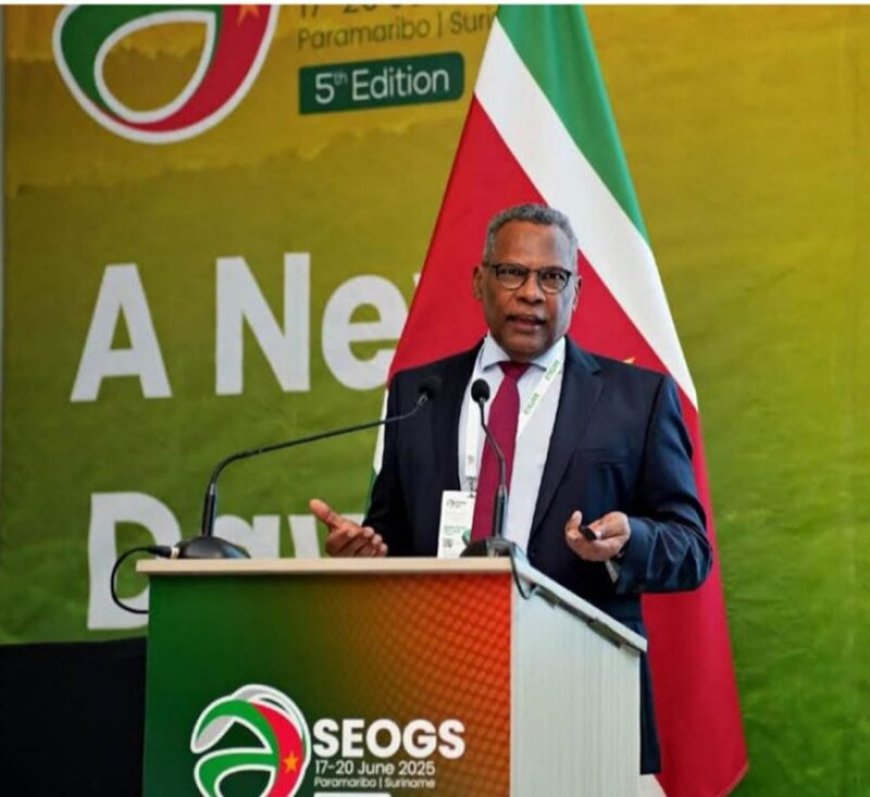 SEOGS: Hoe ‘local content’ echt van de grond moet komen