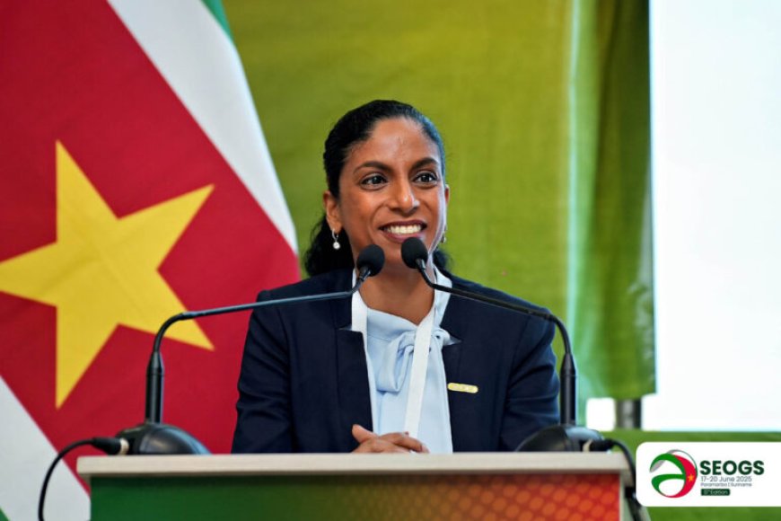 ‘Local content begint bij doen, niet bij wetten’