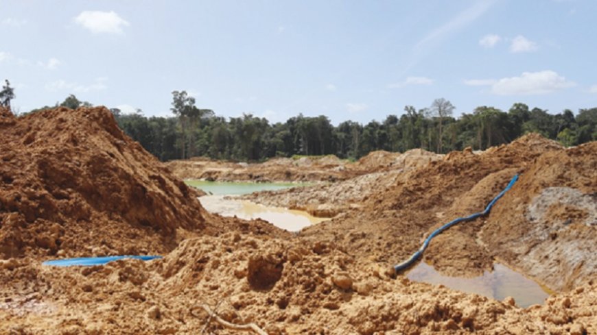 Hoe kan Suriname zijn bos beschermen tegen mijnbouw?