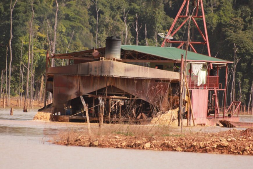 POLITIEKE WIL EN SKALIANS