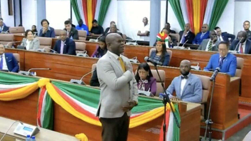 Brunswijk beëdigd als lid DNA; nog geen duidelijkheid over vicepresidentschap