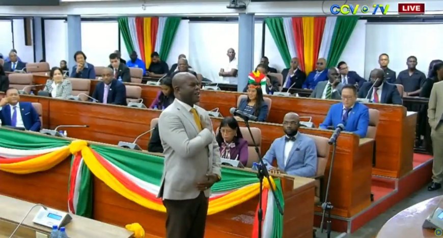 Brunswijk beëdigd als DNA-lid – einde vp-rol nabij?