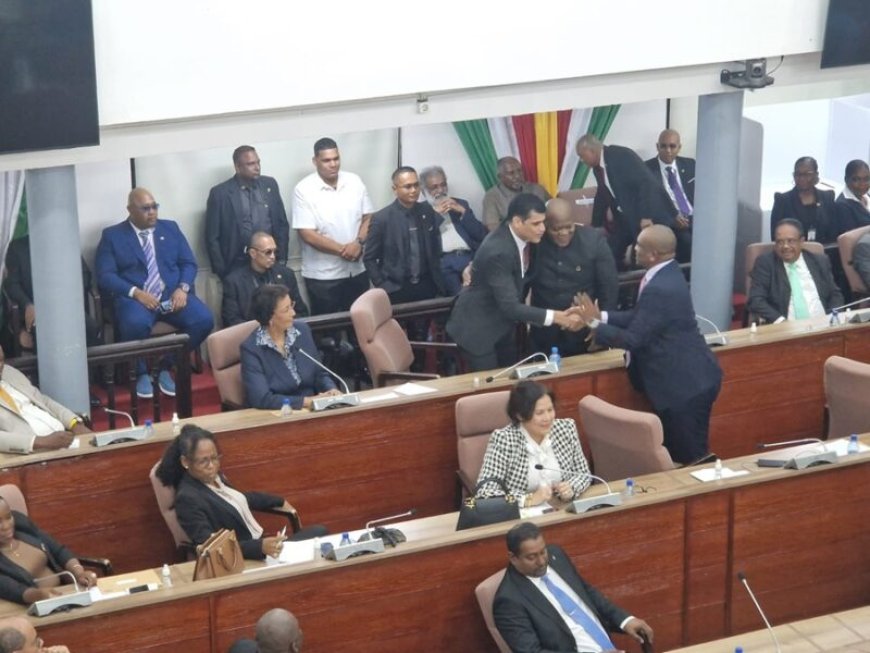 Nieuwe DNA-voorzitter Adhin: ‘Ik ga een voorzitter zijn die direct in contact is met de samen