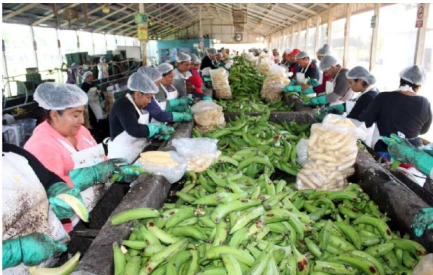 Werkloosheid in Nicaragua en Mexico daalt naar 2,7%