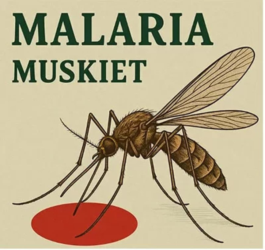 Suriname officieel malaria-vrij verklaard door WHO