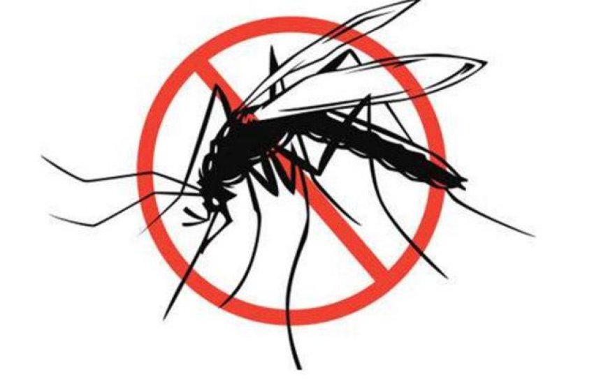 Suriname als eerste Amazone-land malariavrij verklaard door WHO