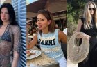 Dua Lipa tot Ananya Panday: Celebs omarmen opnieuw de haaktrend