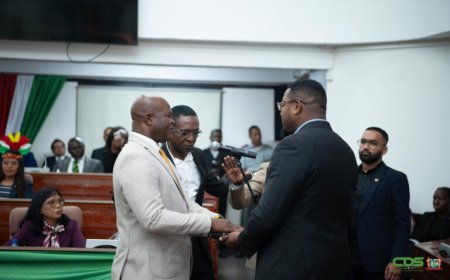 Parlement opent zittingsperiode 2025-2030