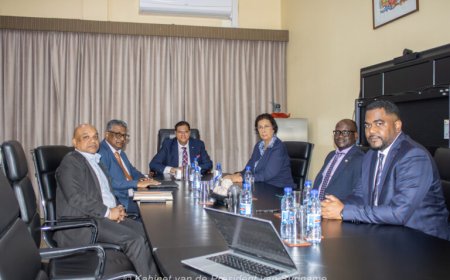 Gesprek tussen president Santokhi en NDP-voorzitster Simons