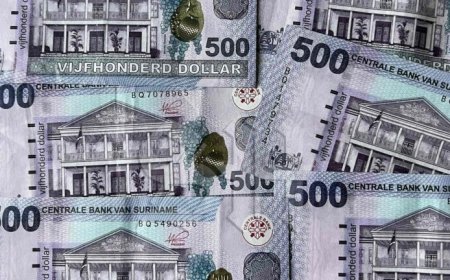 SEOB waarschuwt voor verzwakking SRD en stijgende staatsschuld