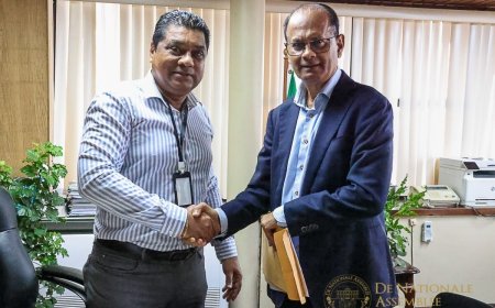 34 Assembleeleden dragen Simons en Rusland voor als president en vicepresident