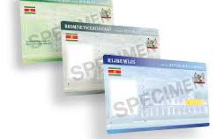 KPS neemt vandaag online portaal rijbewijzen in gebruik