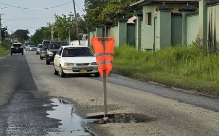 DEMISSIONAIR PLICHTSVERZUIM