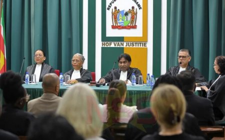 Hof speelt in op roep om hogere rechterlijke toetsing