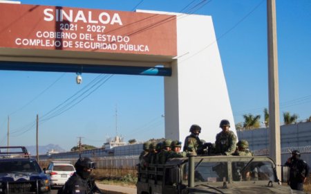 20 lichamen, sommige onthoofd, gevonden in Sinaloa, Mexico 