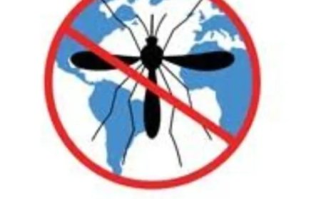 Suriname malariavrij: het kan als we ons inzetten